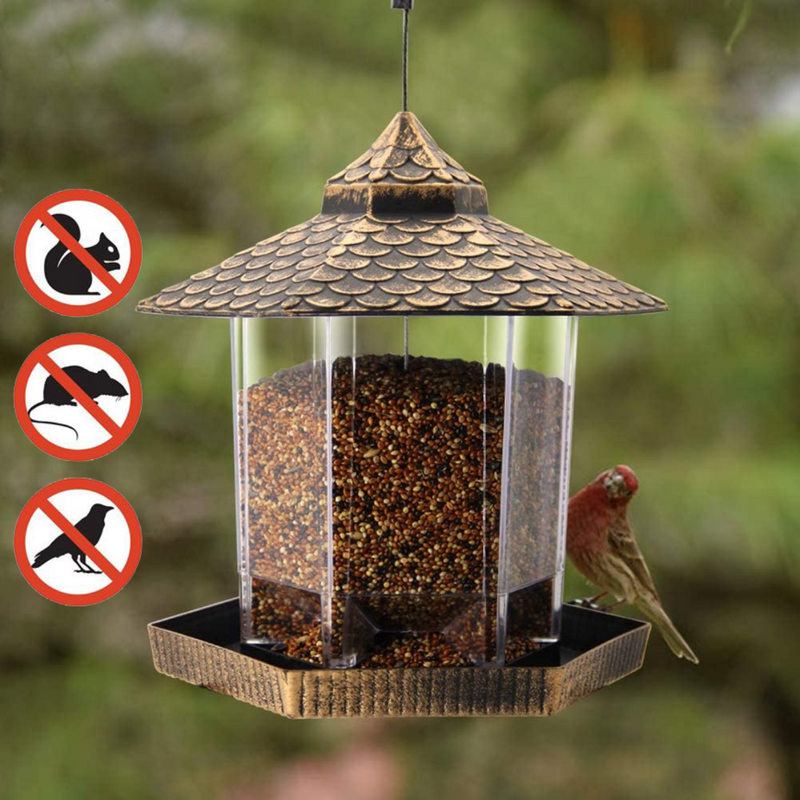 Hanging Bird Feeder Squirrel Proof